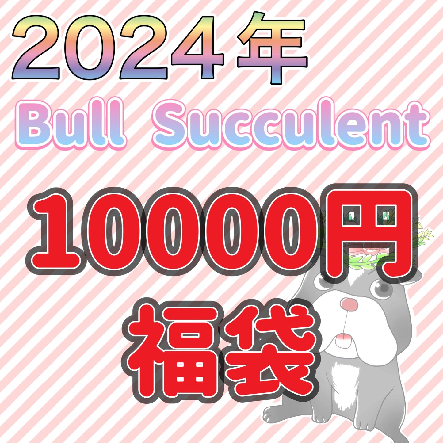2024年福袋10000円セット