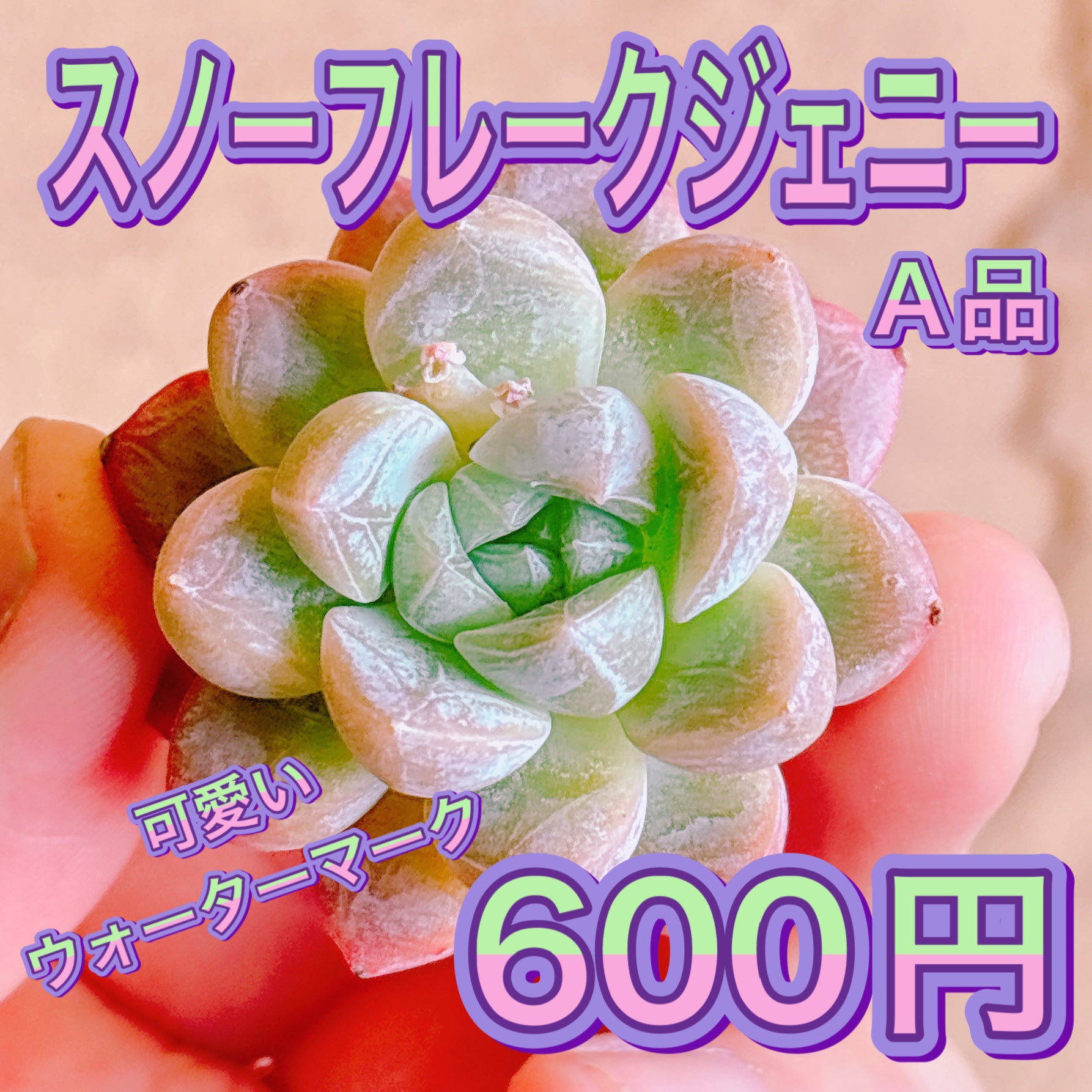 1-2_a387bda1-a426-4b49-83af-