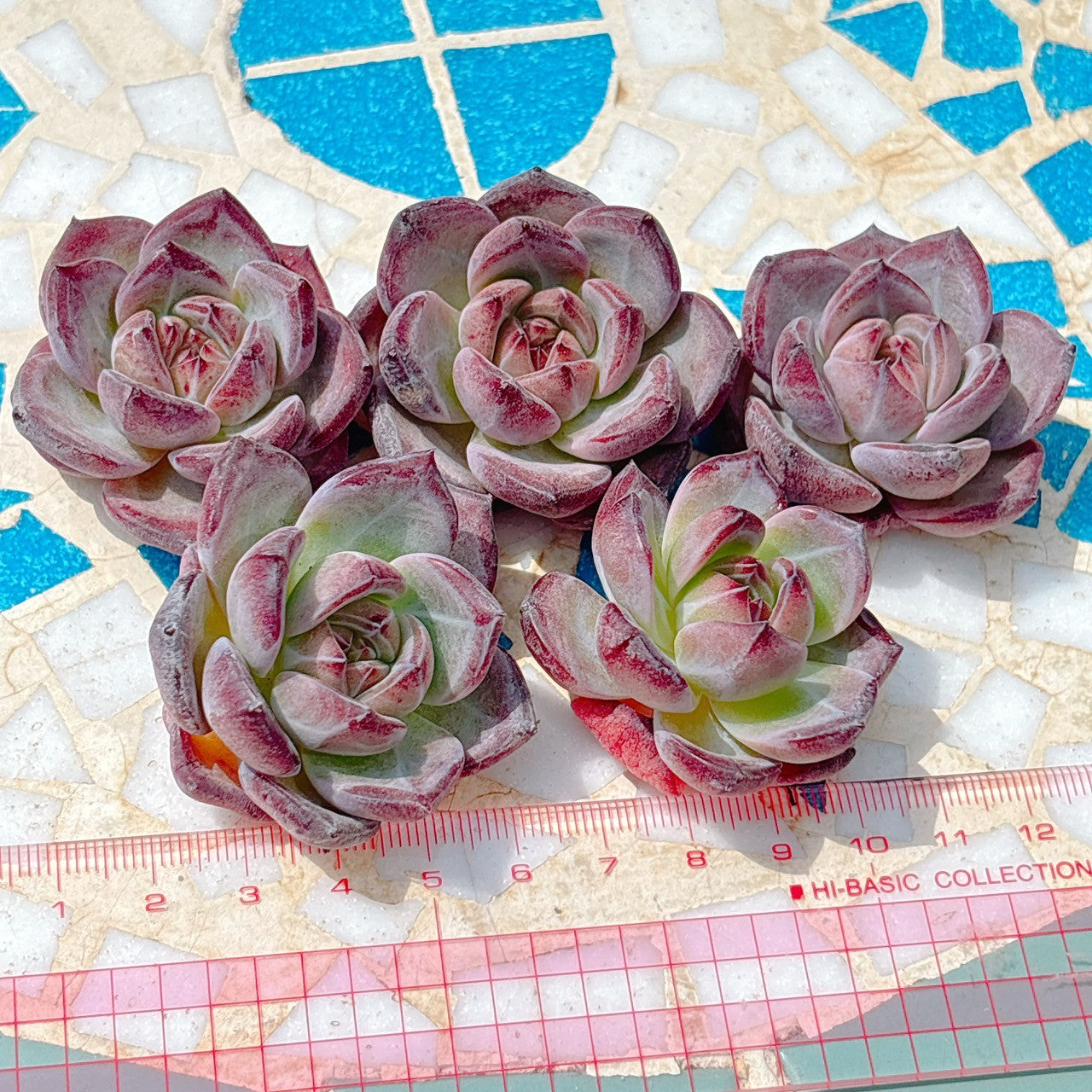 デアデビル　A品