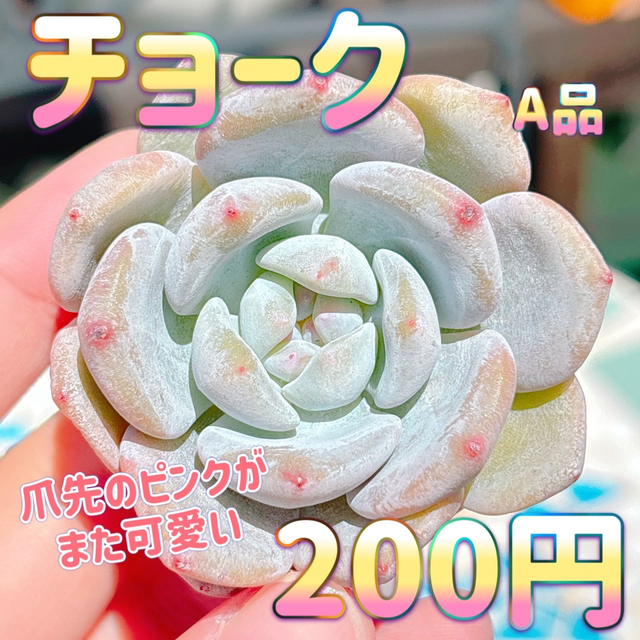 チョーク　A品