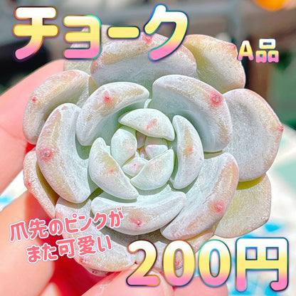 チョーク　A品
