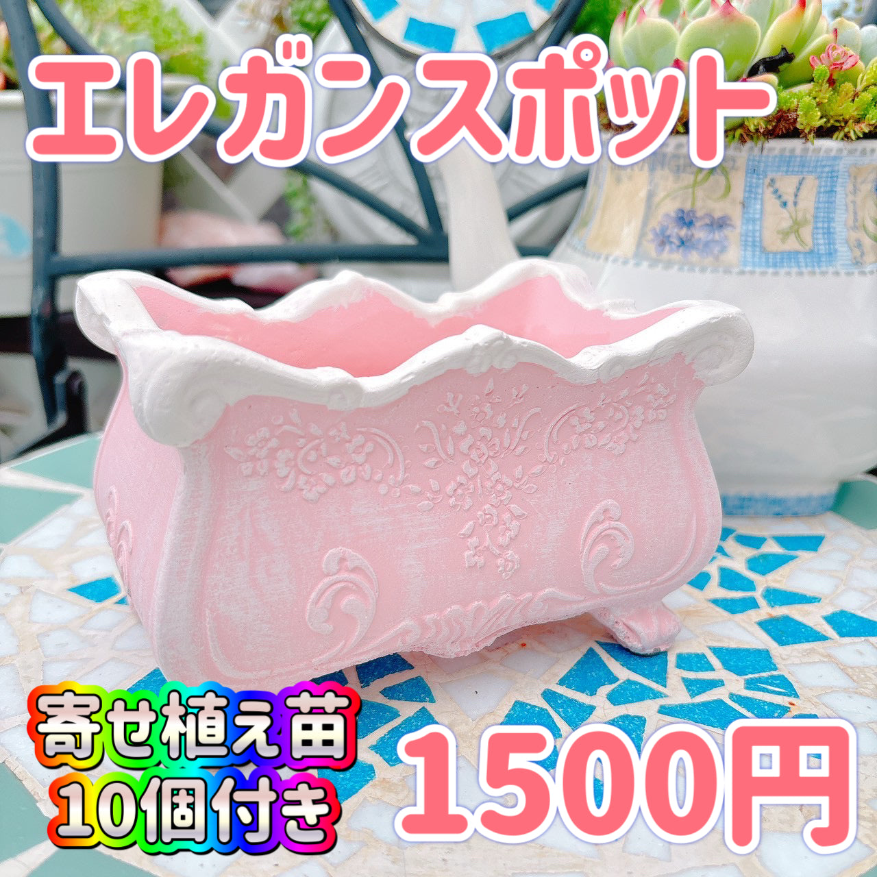 エレガンスポット　ピンク