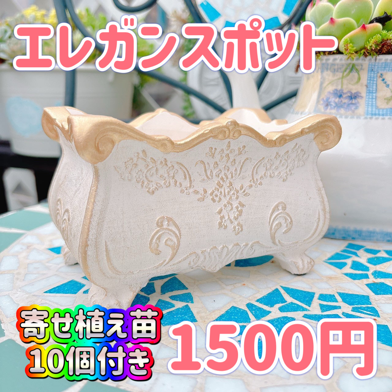 エレガンスポット　ホワイト