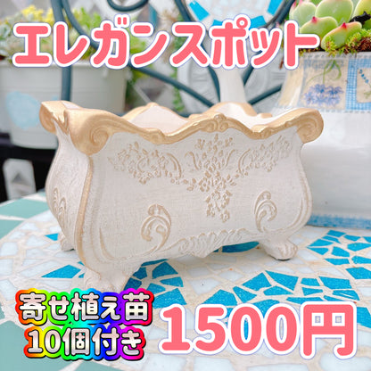 エレガンスポット　ホワイト