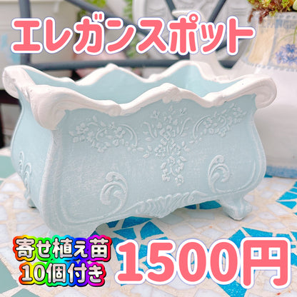 エレガンスポット　ブルー