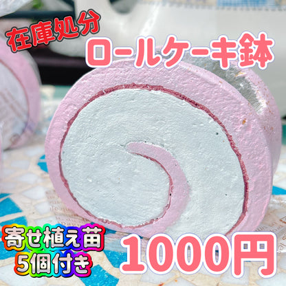 ロールケーキ鉢　ピンク