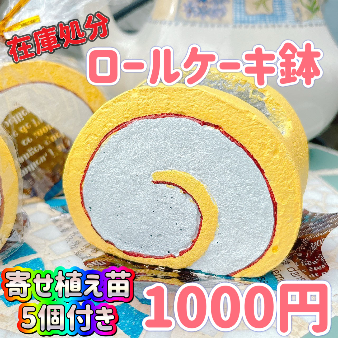 ロールケーキ鉢　ノーマル