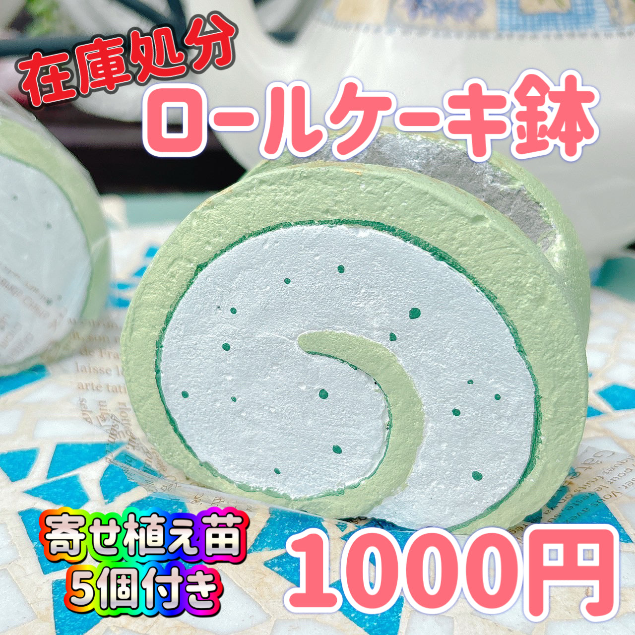 ロールケーキ鉢　抹茶