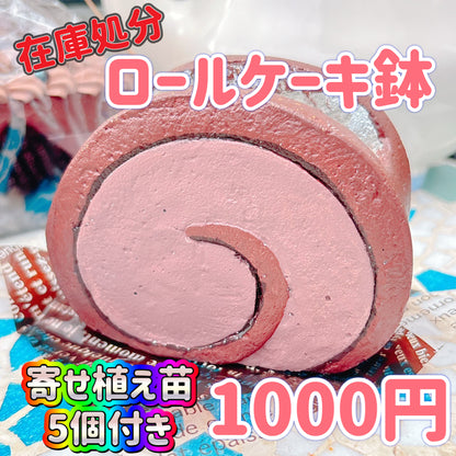 ロールケーキ鉢　チョコレート