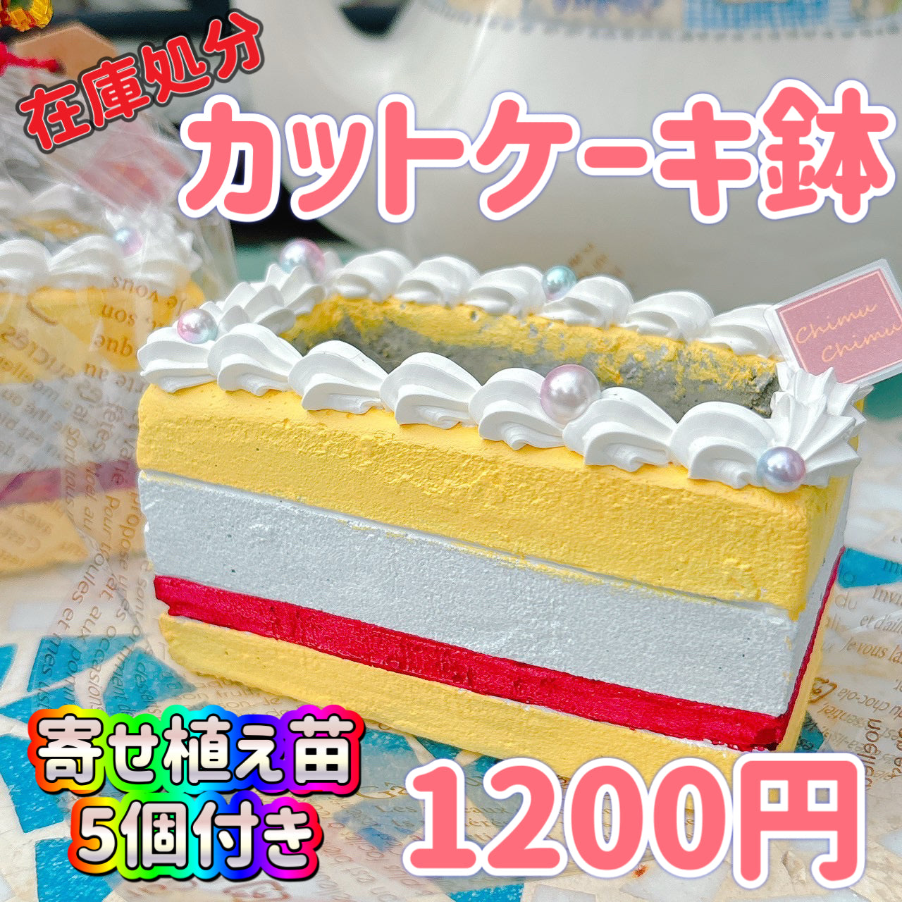 カットケーキ鉢　ノーマル