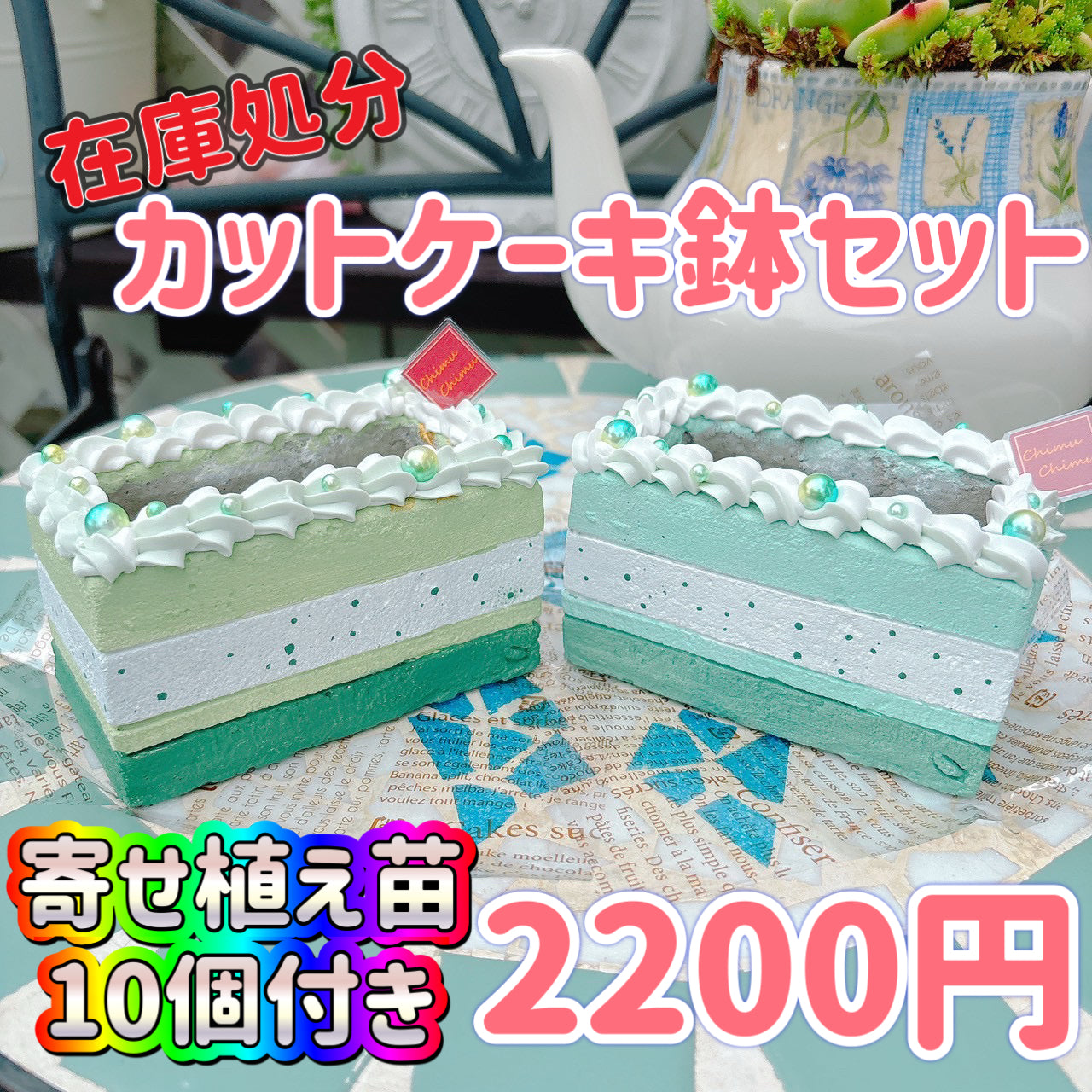 カットケーキ鉢2鉢セット