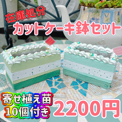 カットケーキ鉢2鉢セット