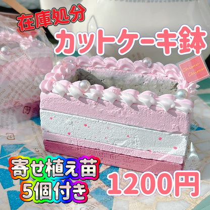 カットケーキ鉢　ピンク