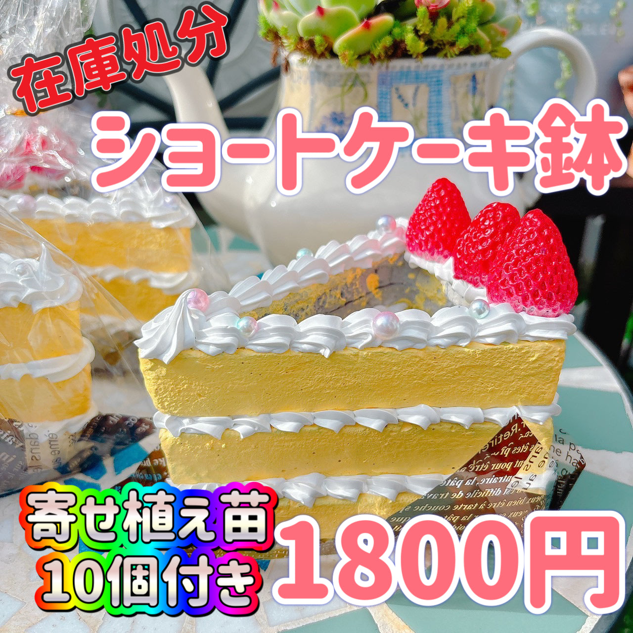 ショートケーキ鉢　ノーマル　イチゴ付き