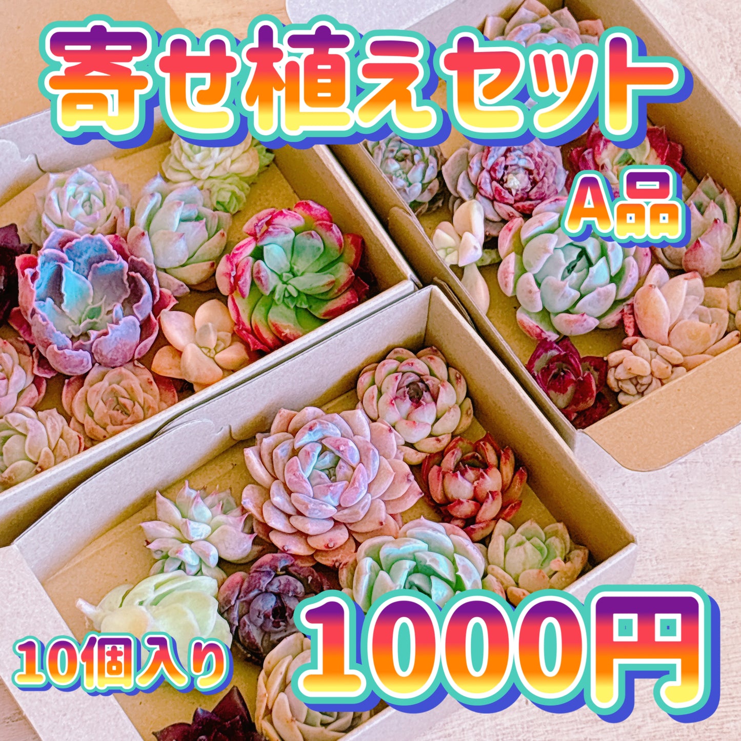 寄せ植えセット　A品