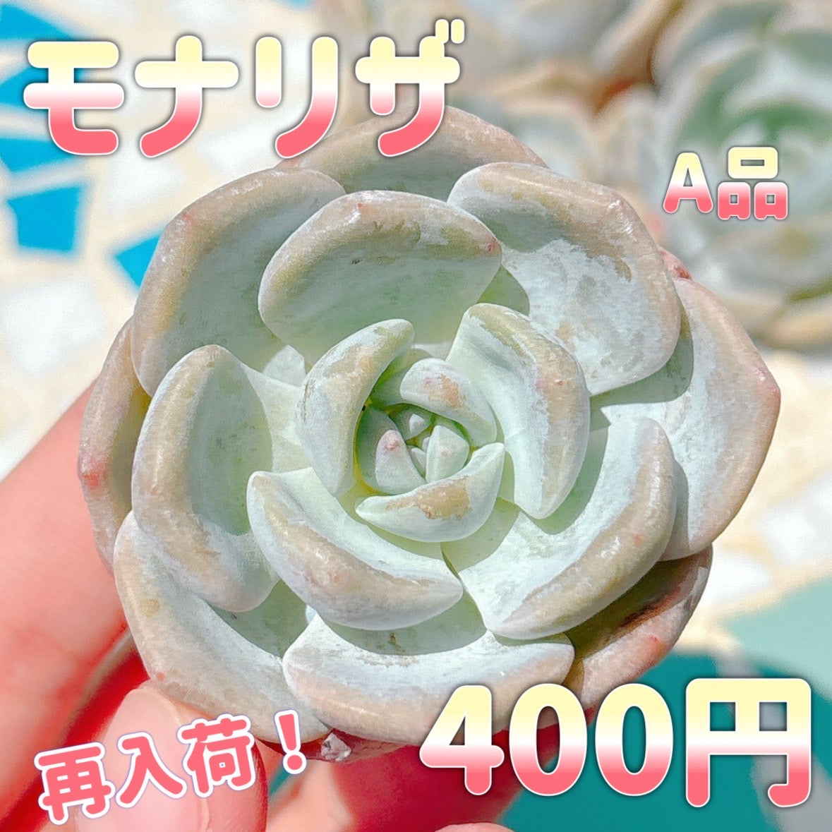 モナリザ　A品