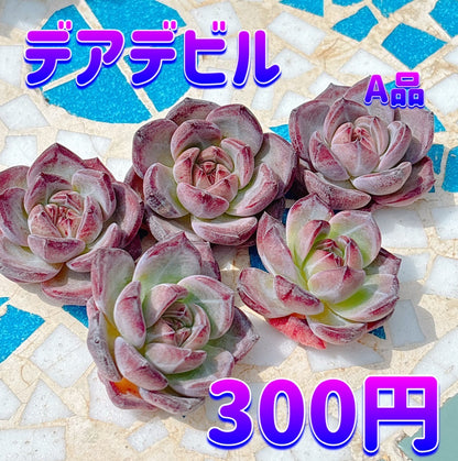 デアデビル　A品