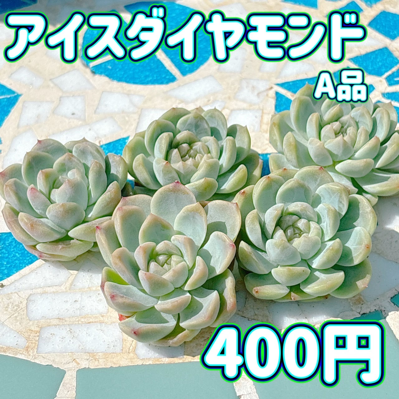 アイスダイヤモンド　A品