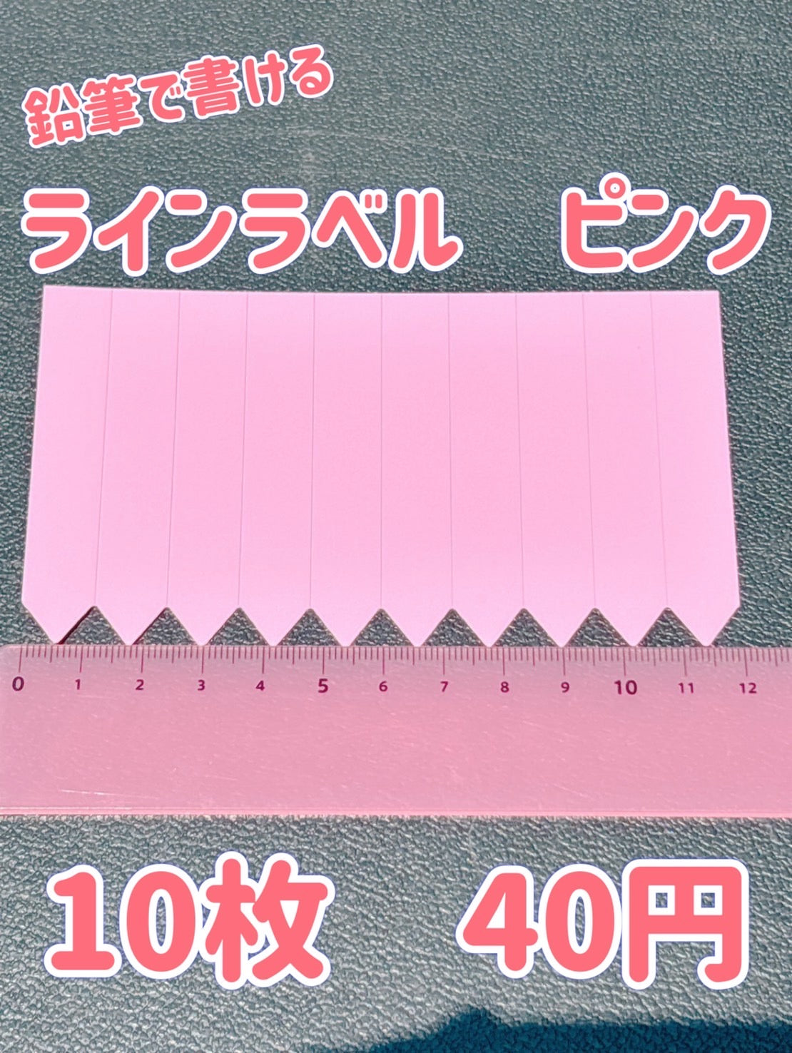 多肉植物の販売・通販サイト | Bull Succulent(ブルサキュレント)