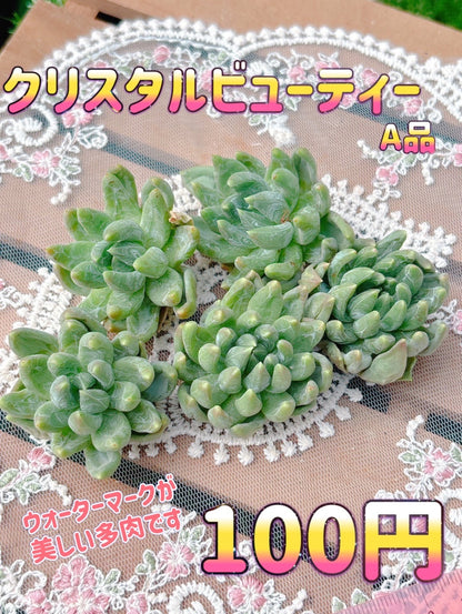 クリスタルビューティー　A品