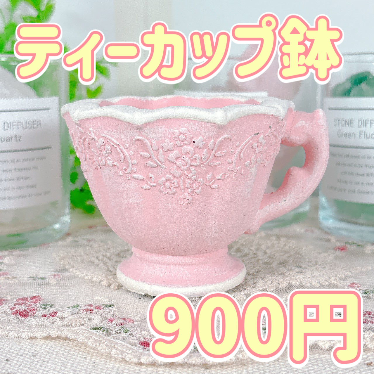 多肉植物の販売・通販サイト | Bull Succulent(ブルサキュレント)