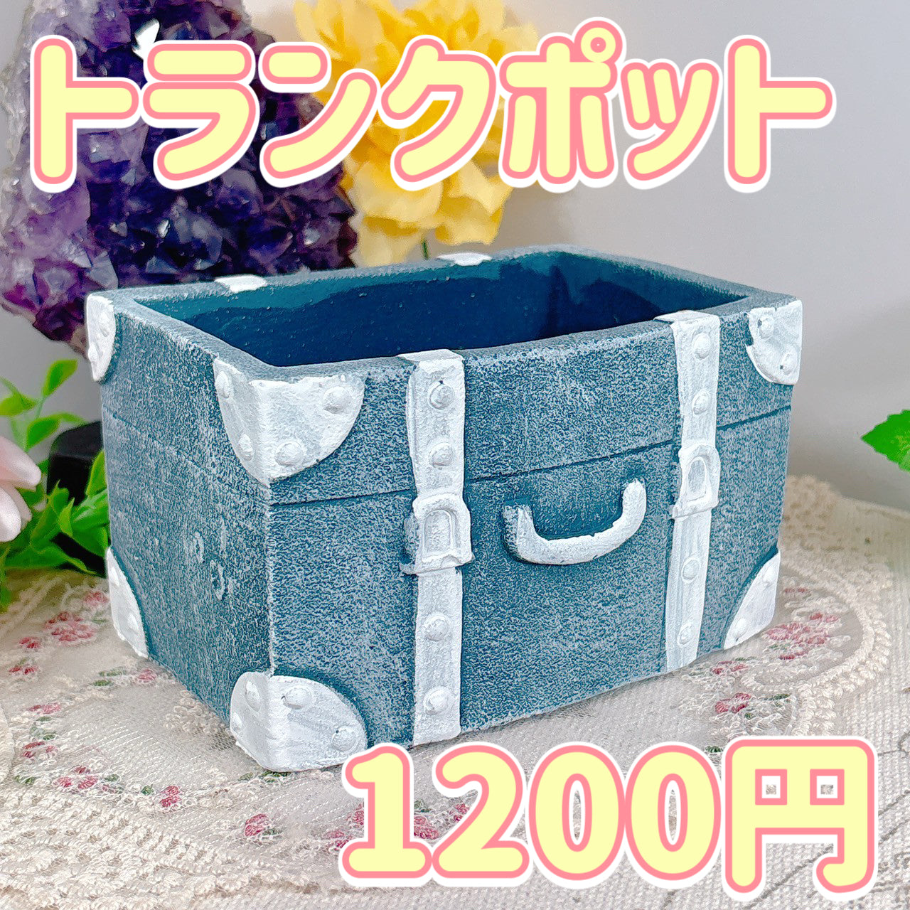 多肉植物の販売・通販サイト | Bull Succulent(ブルサキュレント)