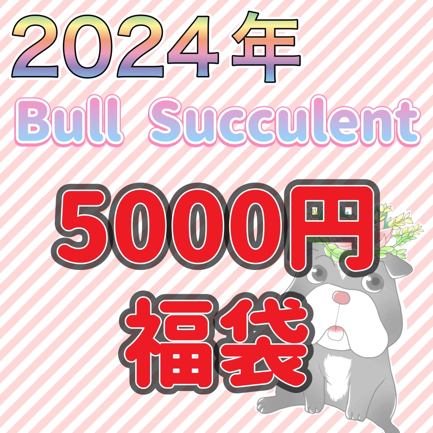 福袋　2024年　5000円セット