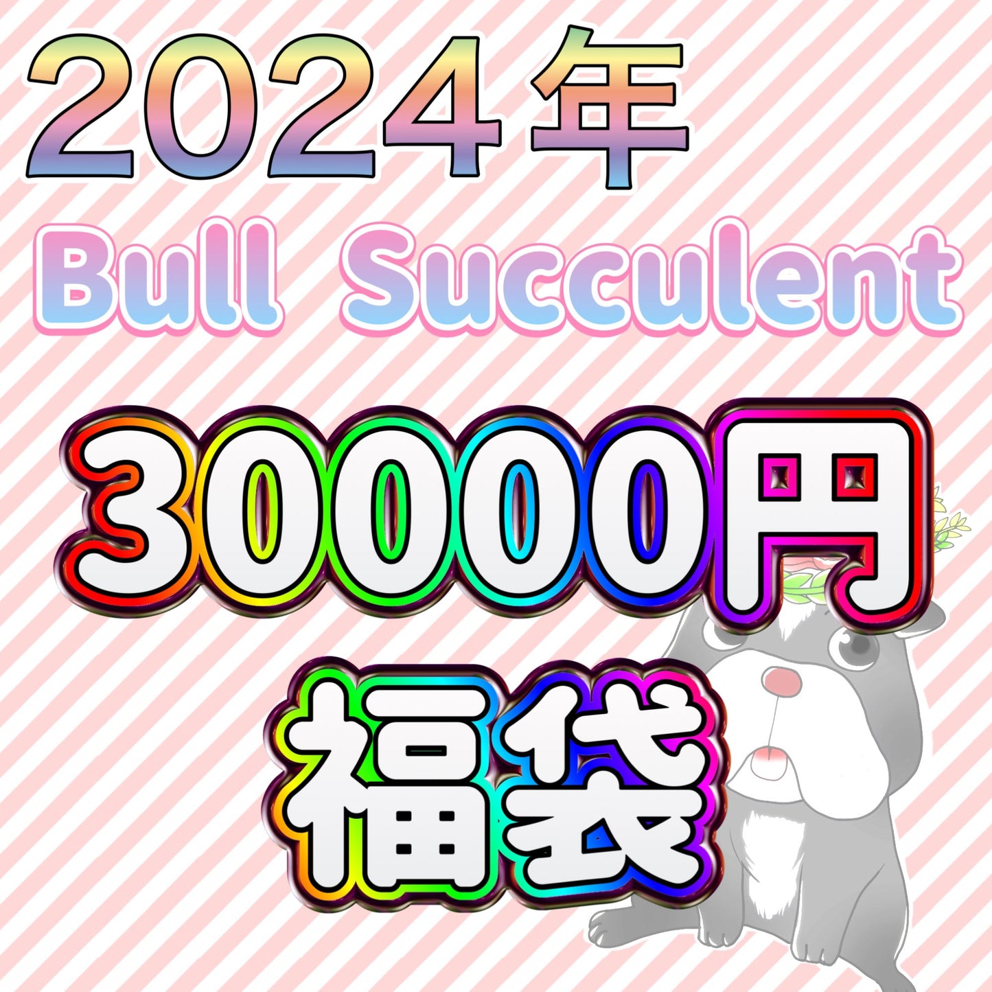 福袋　2024年　30000円セット