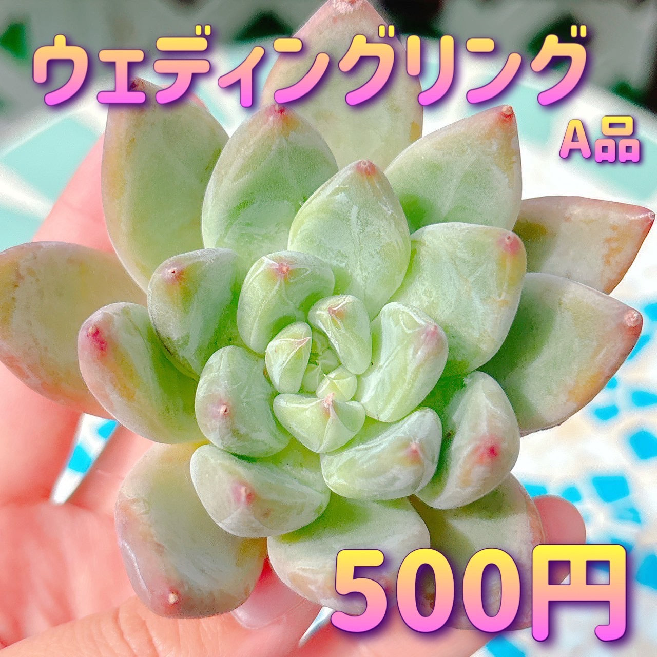 ウェディングリング　A品