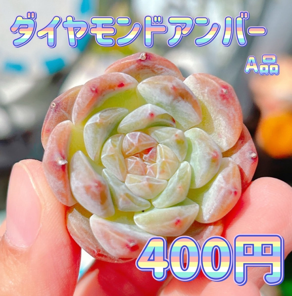 ダイヤモンドアンバー　A品