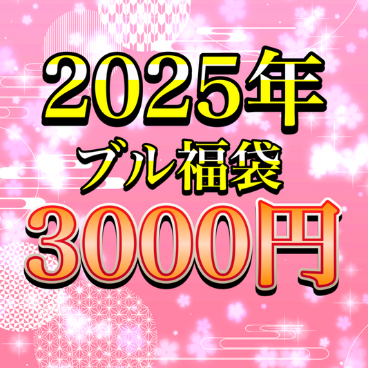 ブル福袋　　3000円　　※説明欄必読※