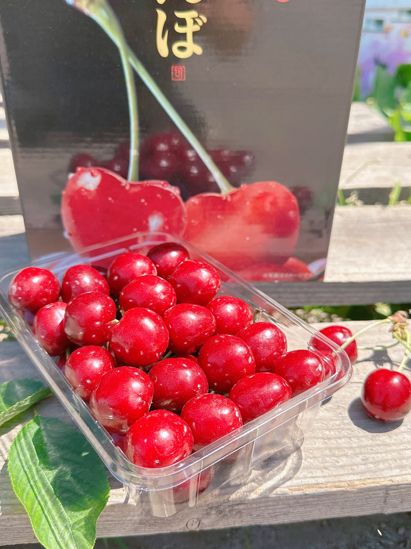 さくらんぼ　サミット※クール便の選択をお願いします※