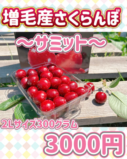 さくらんぼ　サミット※クール便の選択をお願いします※