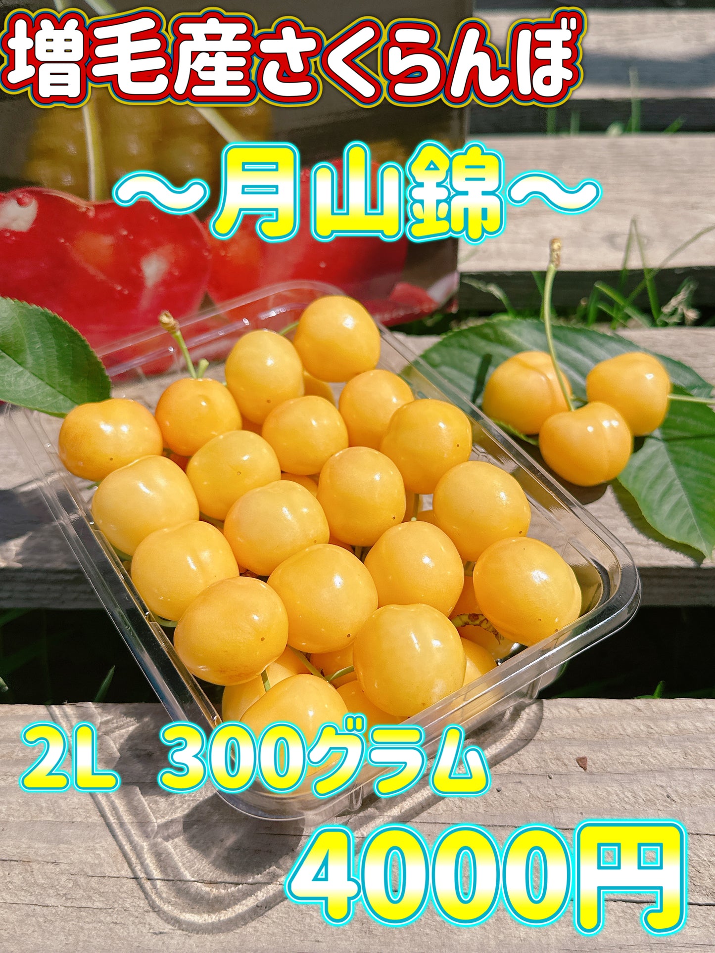 さくらんぼ　月山錦※クール便の選択をお願いします※