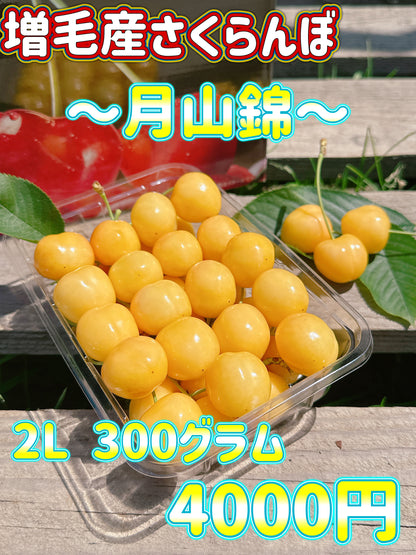 さくらんぼ　月山錦※クール便の選択をお願いします※